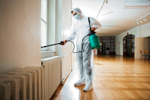 Best Bed Bug Extermination  in Fernandina Beach, FL
